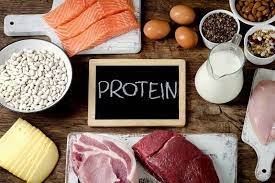 protein weight reduction formula